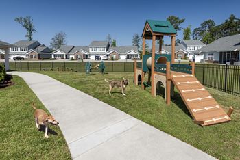 Gated pet park